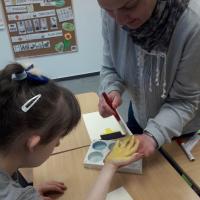 349217131 552381840378876 3620092491538381545 n