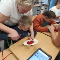 IMG 20240208 095044161