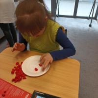 IMG 20240423 111602398