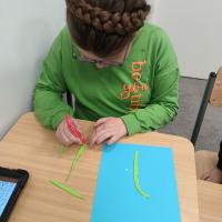 IMG 20240312 101840248