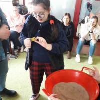 331984115 528245786169624 1208318903006911570 n