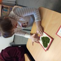 .trashed-1773764654-IMG 20260116 105242