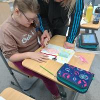 IMG 20250218 113751893 HDR