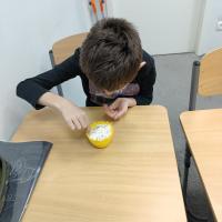 IMG 20250411 102443444 MP