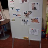 316718115 708530867508424 4460187932238893633 n