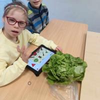 487208523 660804296895531 4432139228323521429 n