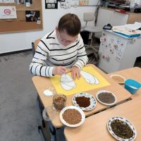 IMG 20250530 100302795 HDR