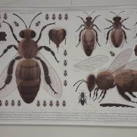 337109120 179627134844909 8569243713012246835 n