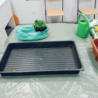 70491eac-9e5b-4d1b-906d-657ff97d4440