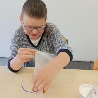 e5d0fbdb-c40b-4604-8a7b-bca645aa762e