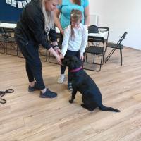 5ba33975-dab3-44fd-8dd1-b48ae0a5b15d