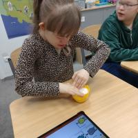 IMG 20250411 102138732