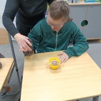 IMG 20250411 103033588