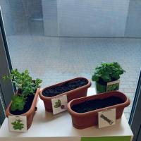 4f205490-9d66-42ea-8b91-d9cbe5d6851a