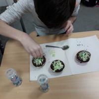 326445941 6218367511515069 7904509431430453249 n