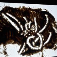 325905068 490882332985688 8462825900921329149 n