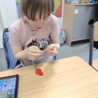 IMG 20250526 124322849