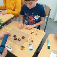 368441147 290030463952502 2509693993045660209 n