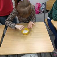 IMG 20250411 102522855