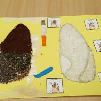 42fab2d5-f1cd-4216-a777-1fd0d90e8c05