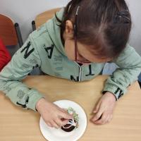 327304444 3270871003176980 5444461078659112586 n