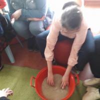 332816164 731440895281009 7670376849223930210 n