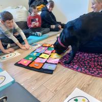 54b3b418-e933-450e-baa4-574aad739701