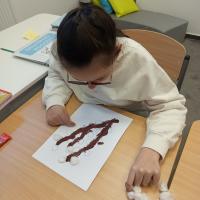 IMG 20260304 122809