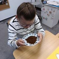 IMG 20250530 095921529