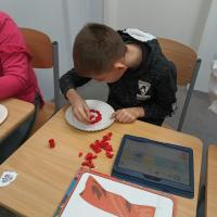 IMG 20240423 110440175