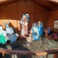 IMG 20231218 101639618 HDR