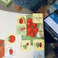 90780f53-82ac-4e31-ab67-2e853b38e1f3