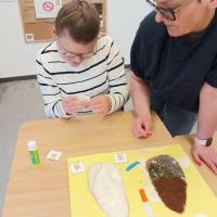 bfcd058b-8a67-4344-a6f5-21d430eea246