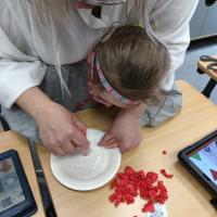 IMG 20240423 110217808