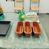 b1545666-028f-4818-9122-601b1b72e981