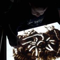 319867382 479564711004300 8555842568687802754 n