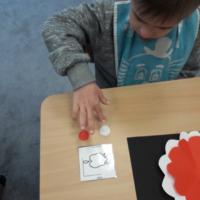 315005422 5498836373537561 1420927947601821739 n