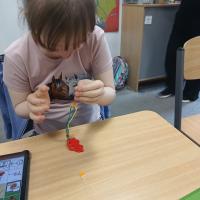 IMG 20250526 124326359