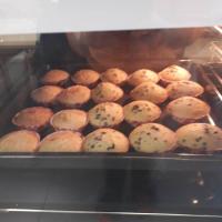 326581772 1600193517111432 8245848775744886583 n