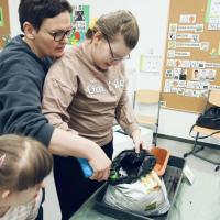 68a47eb0-8d07-48b1-a535-8d0cb2ab32bd