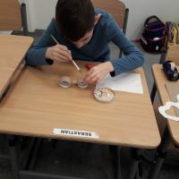 333556594 160163510165200 7480777113966156319 n