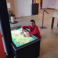 342023384 280238967695891 812237837965724670 n