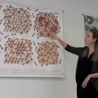 336648165 905296650796185 3324686652919929604 n