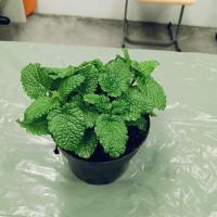 2b103191-6f73-4144-a141-4ebefd68a5a3