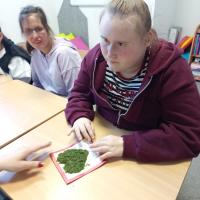 IMG 20260116 104958 1