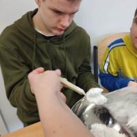 333204867 6230618896999361 178959072433790858 n