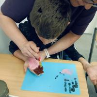 b96c2e64-1040-43a4-b891-5167e2201eed