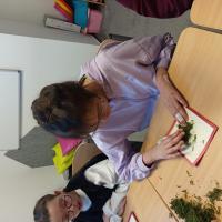 .trashed-1773764722-IMG 20260116 102550