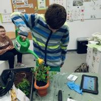 f0a91474-35b1-4dd6-8116-1fa6e3eee240