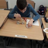 334246425 3313786985601167 5009462705288144466 n